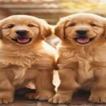 Indian Dog Names (2026): The Best Male, Female, Desi & English Names for Your Pup