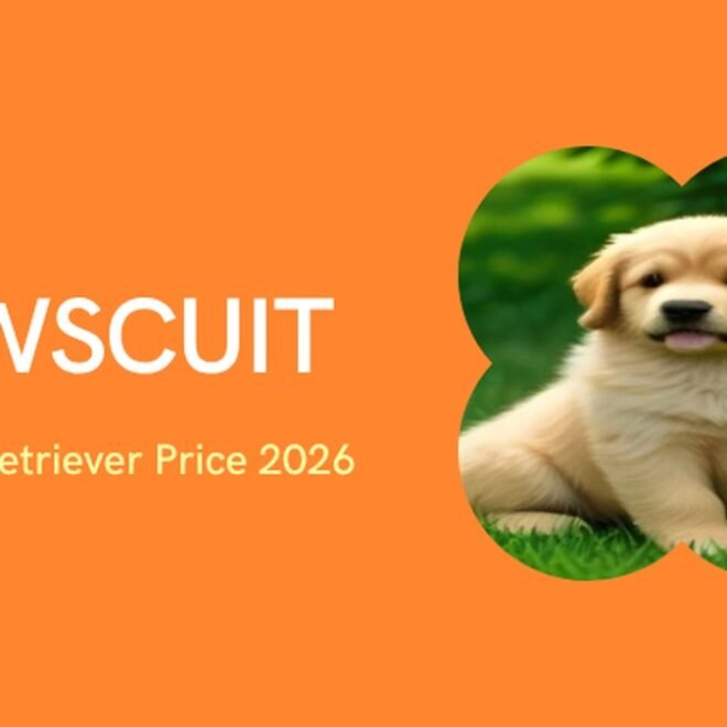 Golden Retriever Price in India 2026: Puppy Cost, City-Wise Guide, Monthly Maintenance & Real Price Range (₹15,000–₹150,000+)