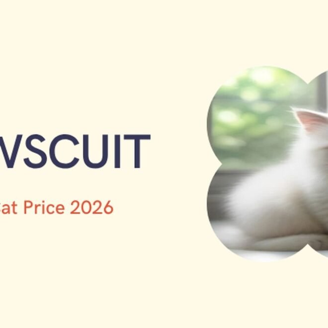 Persian Cat Price in India 2026: Kitten Cost, City-Wise Guide, Monthly Maintenance & Real Price Range (₹8,000–₹120,000+)