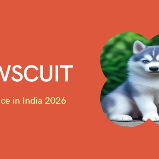 Husky Price in India 2026: Puppy Cost, City-Wise Guide, Monthly Maintenance & Real Price Range (₹15,000–₹150,000+)