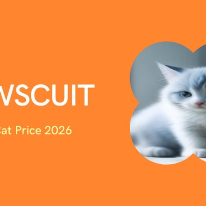 Ragdoll Cat Price in India 2026: Kitten Cost, City-Wise Guide, Monthly Maintenance & Real Price Range (₹25,000–₹200,000+)