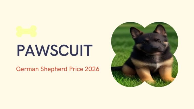 German Shepherd Price in India 2026: Puppy Cost, City-Wise Guide, Monthly Maintenance & Real Price Range (₹8,000–₹150,000+)