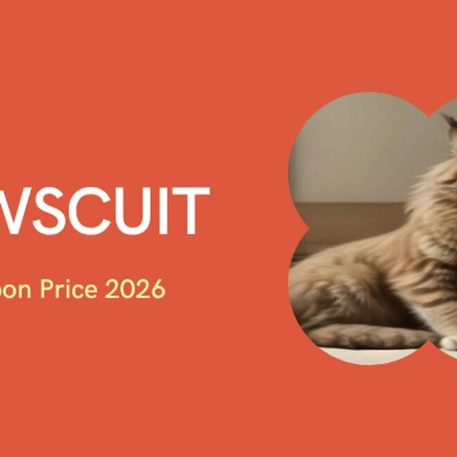 Maine Coon Cat Price in India 2026: Kitten Cost, City-Wise Guide, Monthly Maintenance & Real Price Range (₹20,000–₹150,000+)