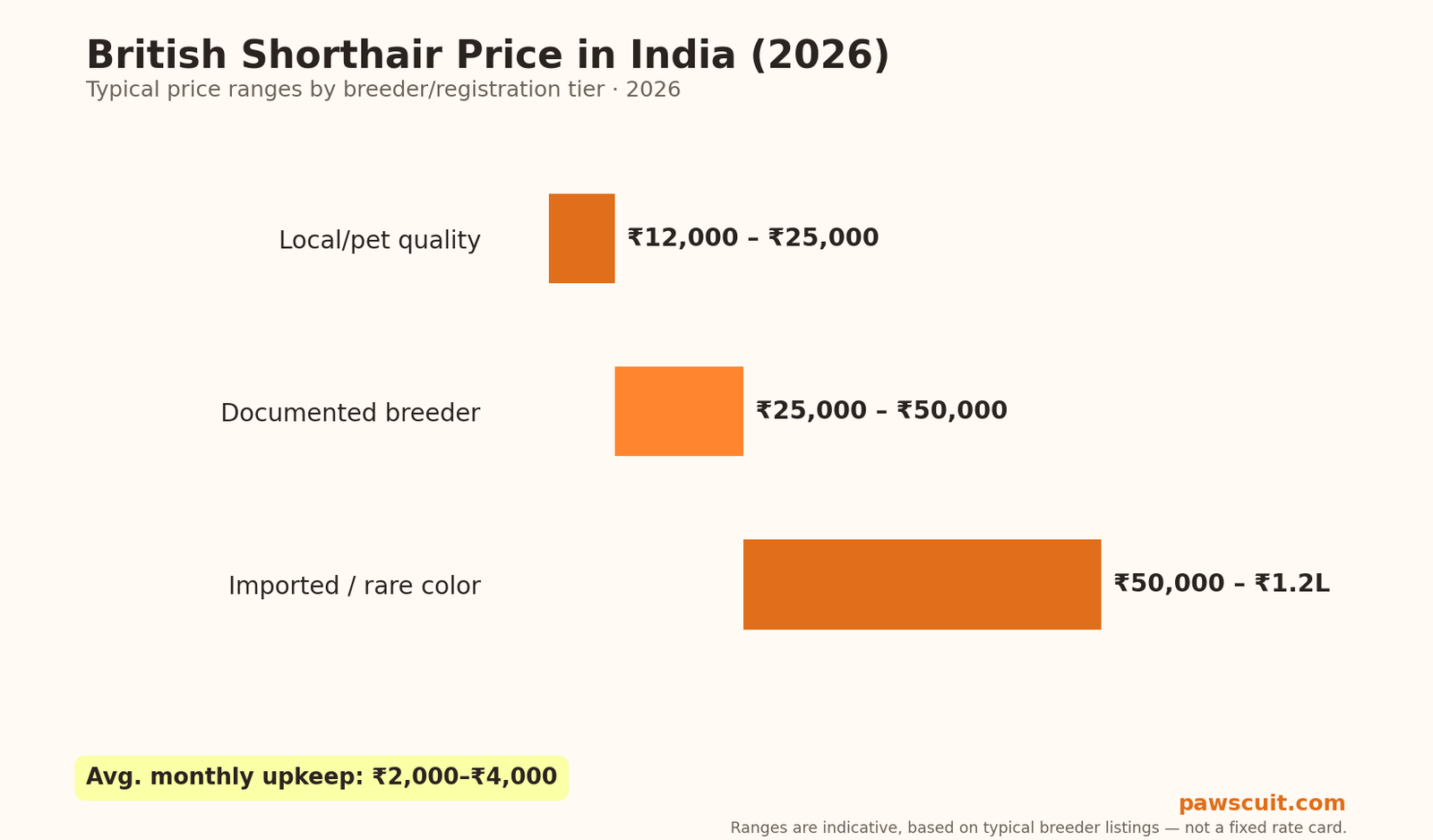 British Shorthair price in India 2026 pricing chart by tier