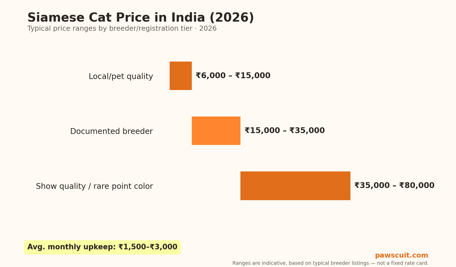 Siamese cat price in India 2026 pricing chart by tier