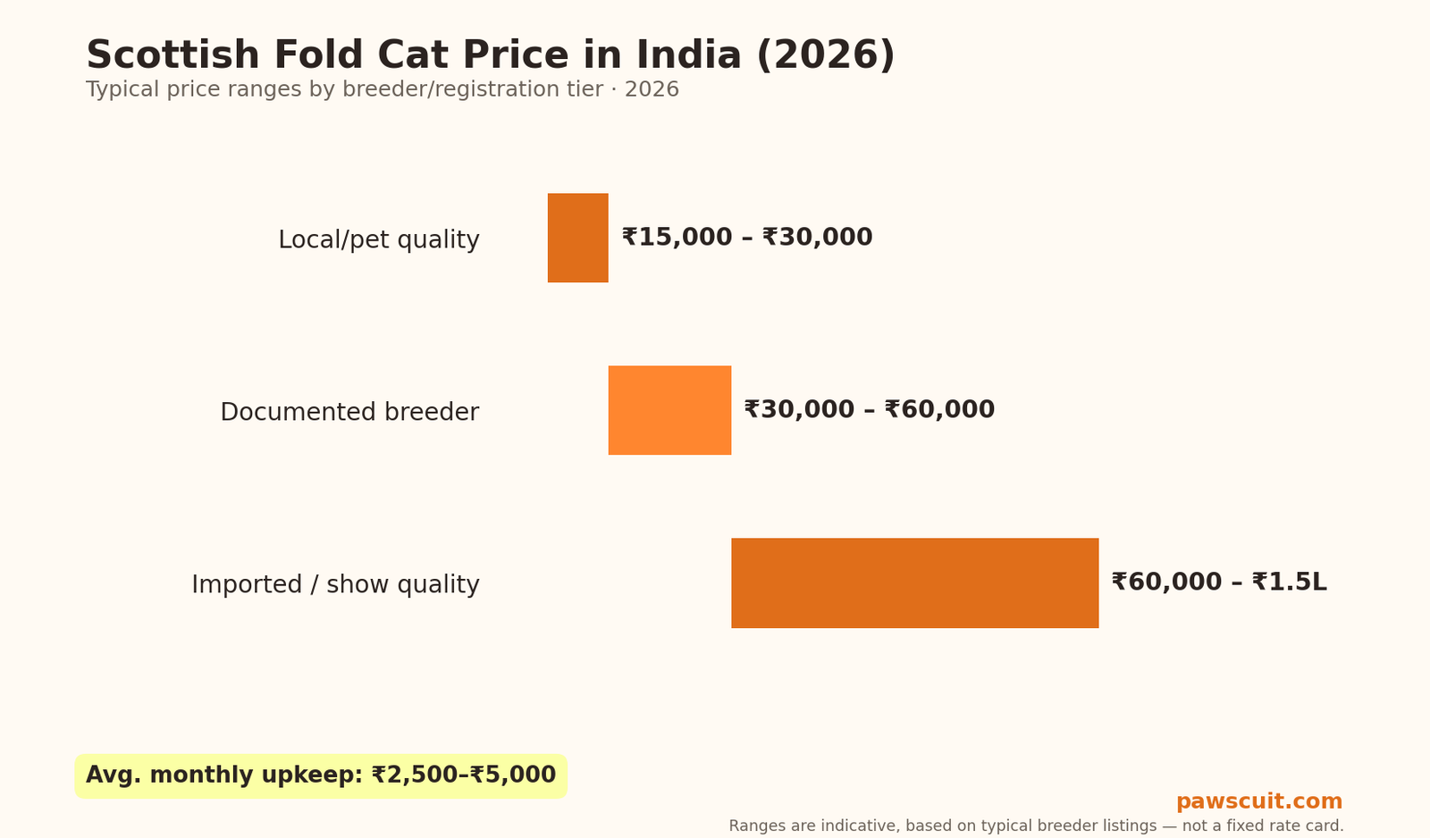 Scottish Fold cat price in India 2026 pricing chart by tier