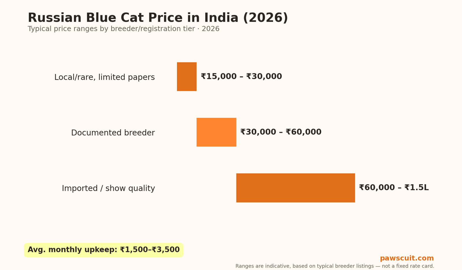 Russian Blue cat price in India 2026 pricing chart by tier