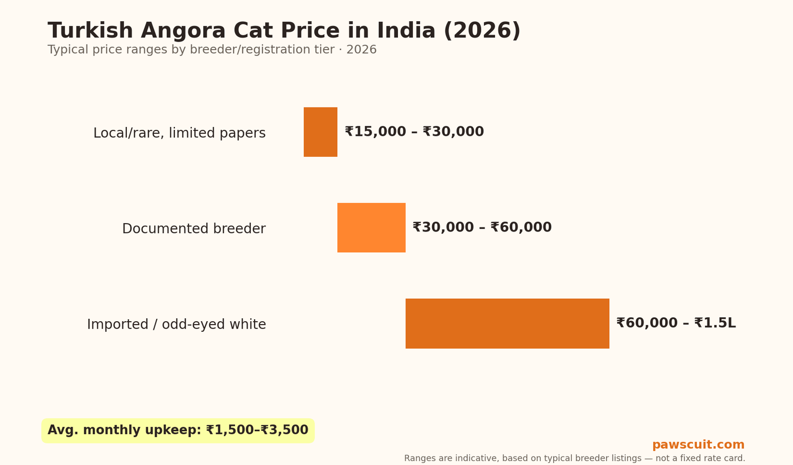 Turkish Angora cat price in India 2026 pricing chart by tier
