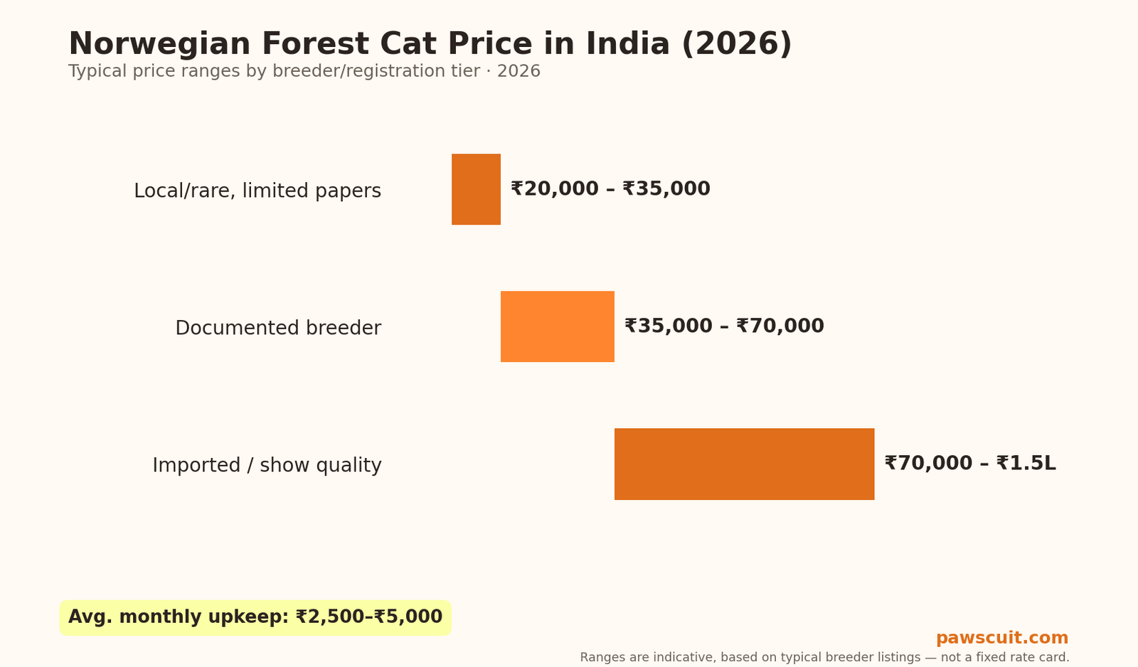 Norwegian Forest Cat price in India 2026 pricing chart by tier