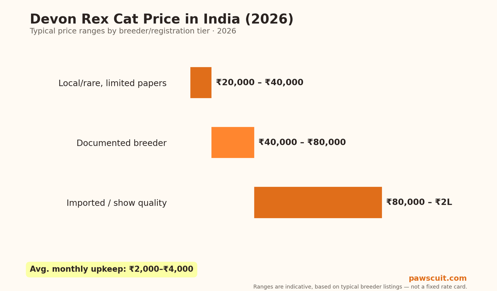 Devon Rex cat price in India 2026 pricing chart by tier