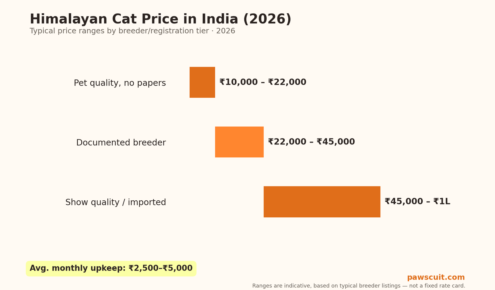 Himalayan cat price in India 2026 pricing chart by tier