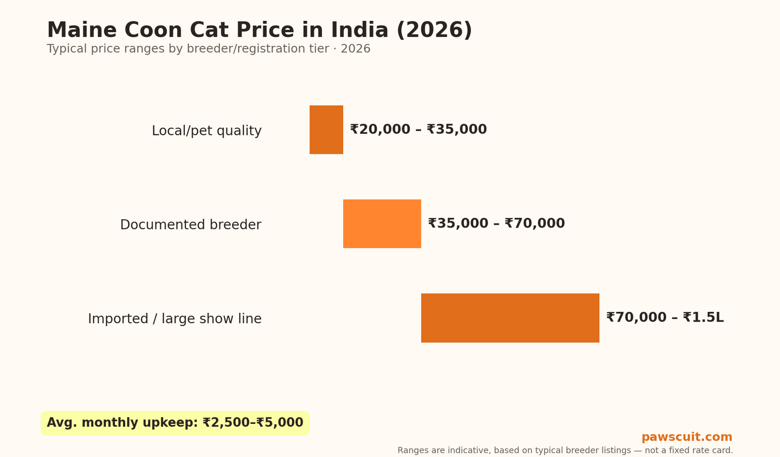 Maine Coon cat price in India 2026 pricing chart by tier