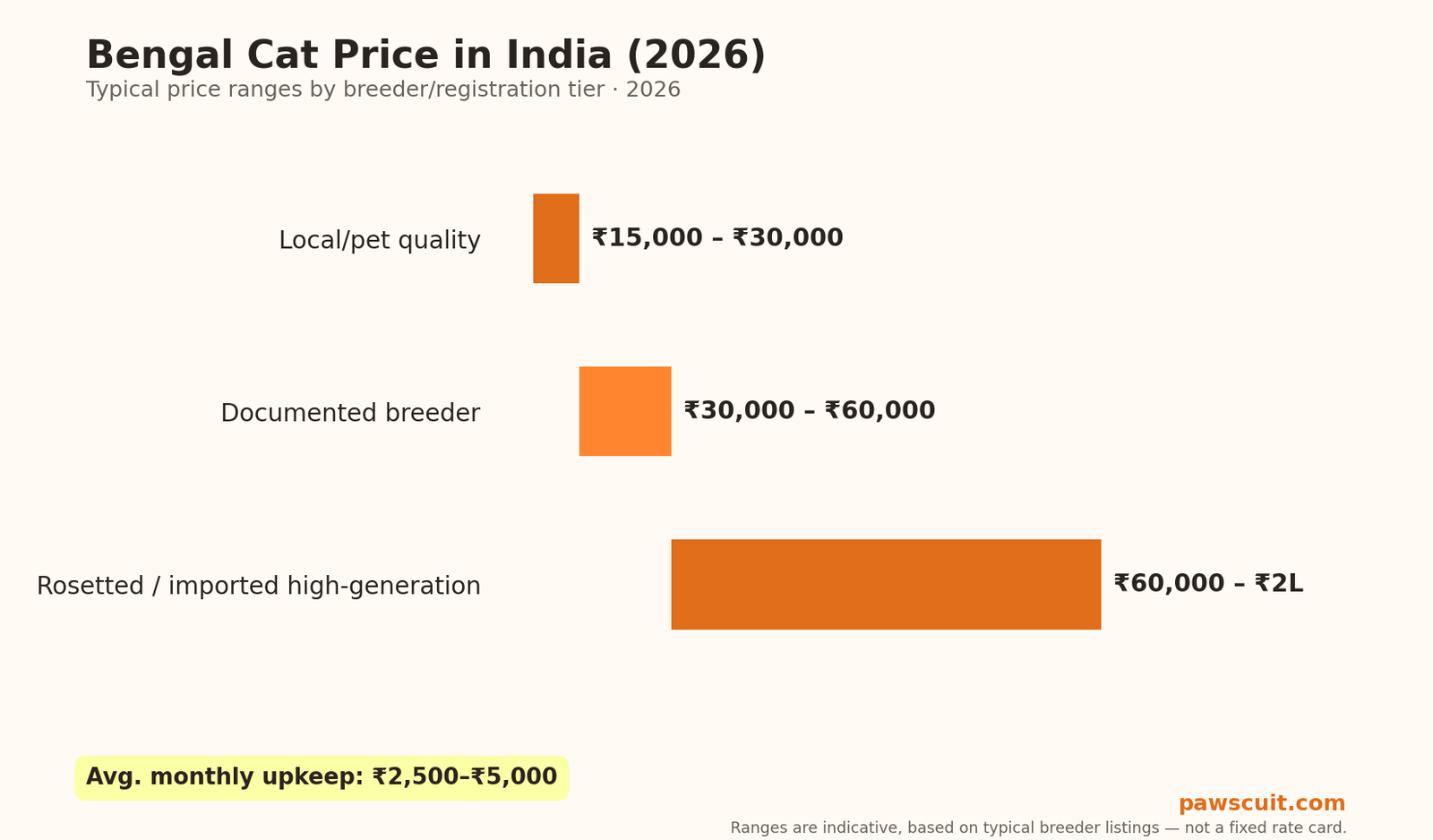 Bengal cat price in India 2026 pricing chart by tier